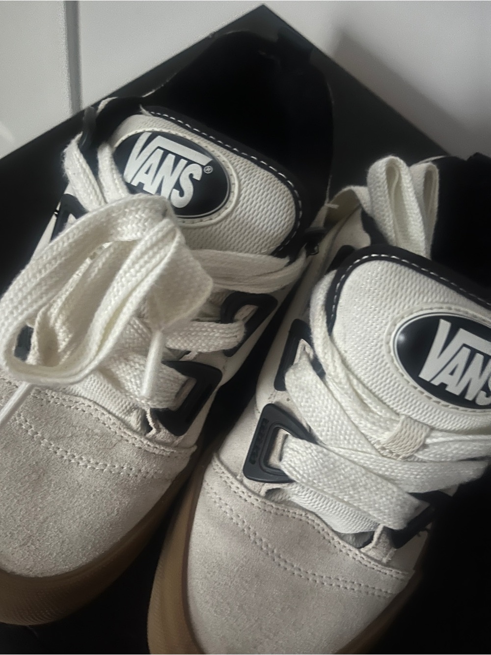 Vans White and Black Skate Shoes